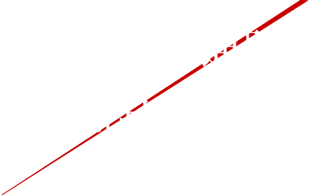 唐揚げの通販商品紹介