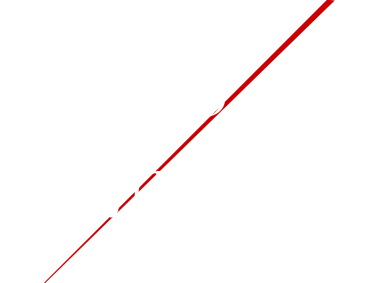 おかずや晩酌のお供に